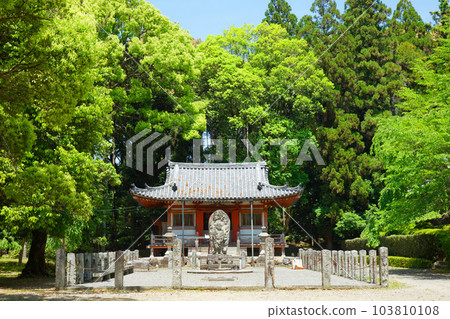 Daigoji Temple Fudodo 年輕的葉子和新鮮的綠葉 Daigoji Temple Fudodo 年輕的葉子和新鮮的綠葉 103810108