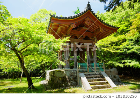 Daigoji Temple Bell Tower Young leaves and fresh green leaves Daigoji Temple Bell Tower Young leaves and fresh green leaves 103810250