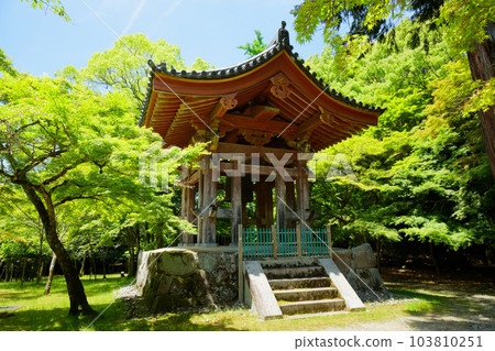 Daigoji Temple Bell Tower 年輕的葉子和新鮮的綠葉 Daigoji Temple Bell Tower 年輕的葉子和新鮮的綠葉 103810251