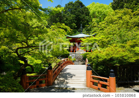 Bentendo, a bridge over forest springs, young leaves and fresh greens, green maples, Daigoji Temple 103810868