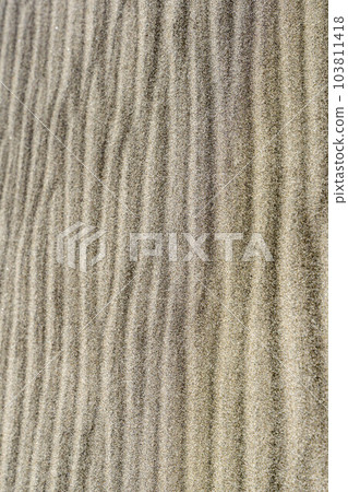 在沙灘上的風打印 103811418