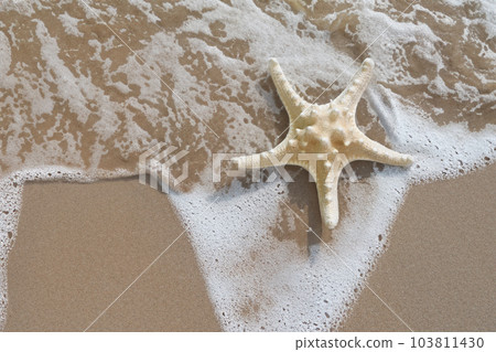 海灘上的海星和洶湧的海浪 103811430
