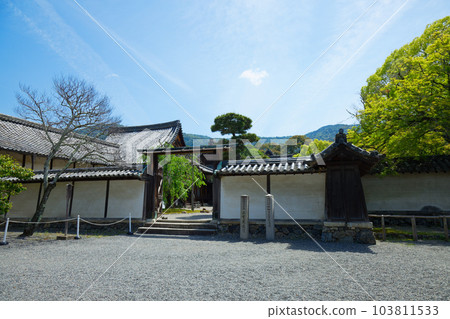 Samboin 花園，Daigoji 寺，新鮮的綠葉，綠色的楓葉 103811533