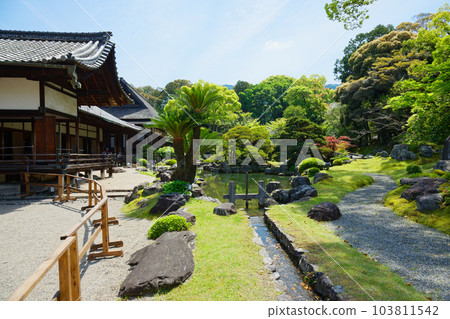 Samboin 花園,Daigoji 寺,新鮮的綠葉,綠色的楓葉 Samboin 花園,Daigoji 寺,新鮮的綠葉,綠色的楓葉 103811542