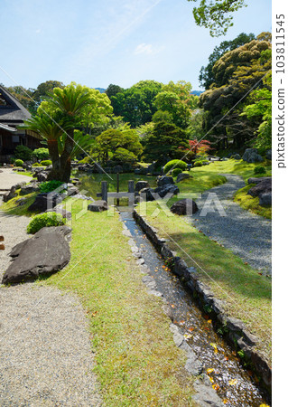 Samboin 花園,Daigoji 寺,新鮮的綠葉,綠色的楓葉 Samboin 花園,Daigoji 寺,新鮮的綠葉,綠色的楓葉 103811545