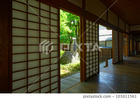 Omoteshoin，Samboin 花園，Daigoji 寺，嫩葉，新綠，綠楓 103811561