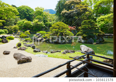 Samboin garden, Daigoji temple, fresh green leaves, green maple leaves Samboin garden, Daigoji temple, fresh green leaves, green maple leaves 103811578