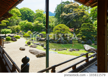 Samboin garden, Daigoji temple, fresh green leaves, green maple leaves Samboin garden, Daigoji temple, fresh green leaves, green maple leaves 103811579
