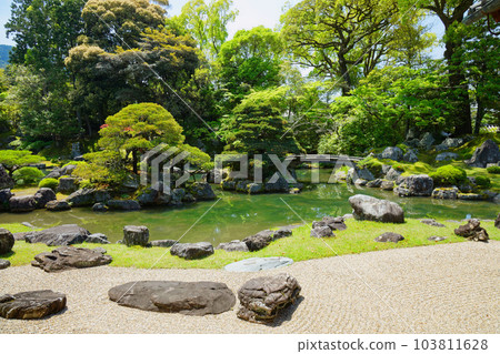 Samboin garden, Daigoji temple, fresh green leaves, green maple leaves Samboin garden, Daigoji temple, fresh green leaves, green maple leaves 103811628
