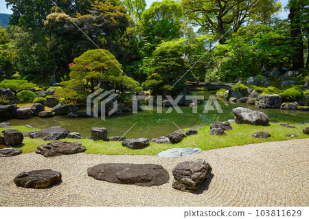 Samboin garden, Daigoji temple, fresh green leaves, green maple leaves Samboin garden, Daigoji temple, fresh green leaves, green maple leaves 103811629
