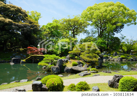 Samboin 花園,Daigoji 寺,新鮮的綠葉,綠色的楓葉 Samboin 花園,Daigoji 寺,新鮮的綠葉,綠色的楓葉 103811634