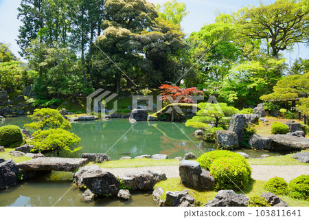 Samboin 花園,Daigoji 寺,新鮮的綠葉,綠色的楓葉 Samboin 花園,Daigoji 寺,新鮮的綠葉,綠色的楓葉 103811641