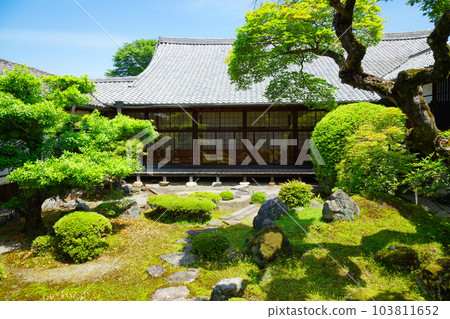 Samboin garden, Daigoji temple, fresh green leaves, green maple leaves Samboin garden, Daigoji temple, fresh green leaves, green maple leaves 103811652