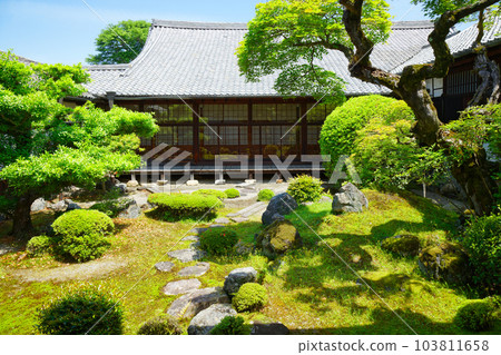 Omoteshoin, Samboin garden, Daigoji temple, young leaves, fresh green, green maple Omoteshoin, Samboin garden, Daigoji temple, young leaves, fresh green, green maple 103811658