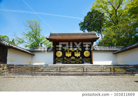 Karamon gate, Samboin garden, Daigoji temple, fresh green leaves, green maple leaves Karamon gate, Samboin garden, Daigoji temple, fresh green leaves, green maple leaves 103811669