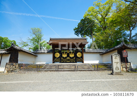 Karamon gate, Samboin garden, Daigoji temple, fresh green leaves, green maple leaves Karamon gate, Samboin garden, Daigoji temple, fresh green leaves, green maple leaves 103811670