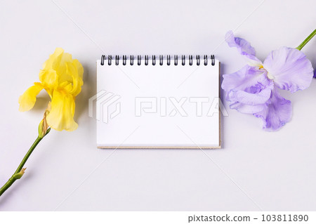 Notebook with clean page with purple and yellow flowers irises on orange background. Flat lay style. Notebook with clean page with purple and yellow flowers irises on orange background. Flat lay style. 103811890