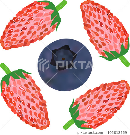 1個“藍莓果實”和4個“野草莓果實” 103812569