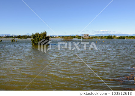 Saiko Doman Green Park (Saitama Prefecture) submerged due to the 2019 East Japan typhoon and flood control effects 103812618