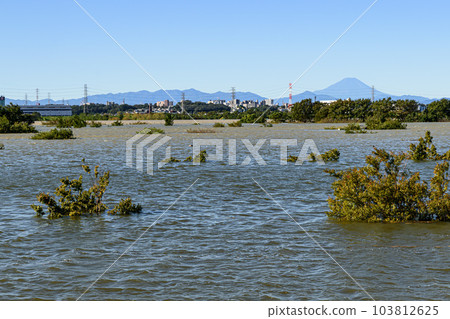 由於 2019 年東日本颱風和防洪效果，Saiko Doman Green Park（埼玉縣）被淹沒 103812625