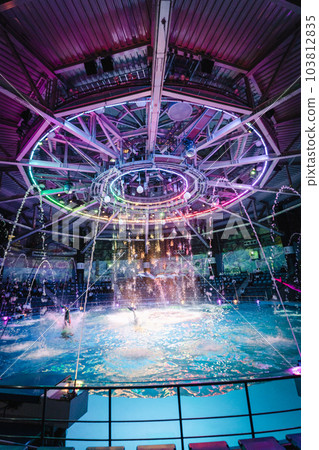 Aqua Park Shinagawa Dolphin Show Night Version 103812835