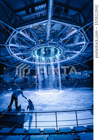 Aqua Park Shinagawa Dolphin Show Night Version Aqua Park Shinagawa Dolphin Show Night Version 103812842
