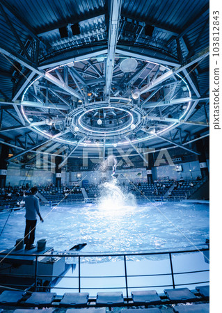 Aqua Park Shinagawa Dolphin Show Night Version 103812843