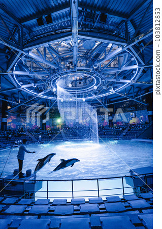 Aqua Park品川海豚表演夜間版 103812853