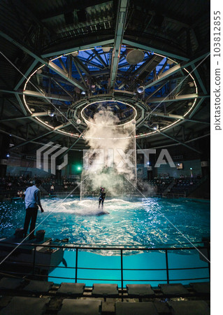 Aqua Park Shinagawa Dolphin Show Night Version 103812855