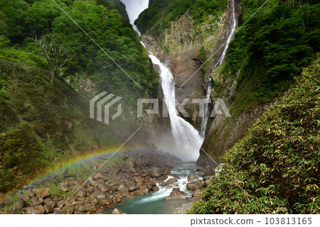 Fresh green Shomyo Falls and rainbow 103813165