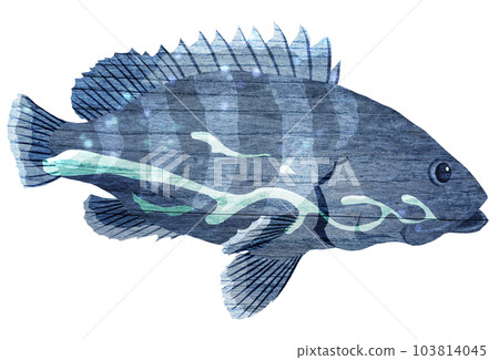 石斑魚在深海中游泳的插圖 103814045