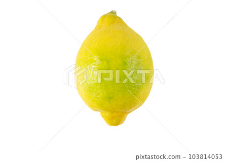 Yellow green lemon fruit isolated on white Yellow green lemon fruit isolated on white 103814053