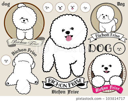 Illustration and logo design of the dog Bichon Frize. Illustration and logo design of the dog Bichon Frize. 103814717