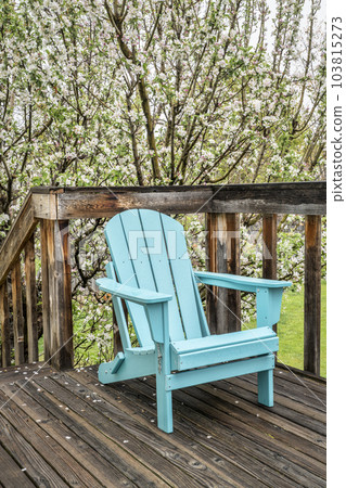 empty Adirondack chair on a wooden backyard deck, spring scenery with a blooming apple tree empty Adirondack chair on a wooden backyard deck, spring scenery with a blooming apple tree 103815273
