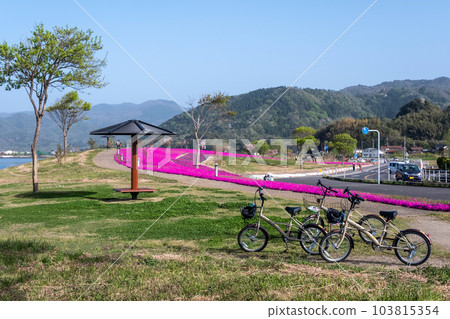 Image of cycling around Togo Pond Image of cycling around Togo Pond 103815354