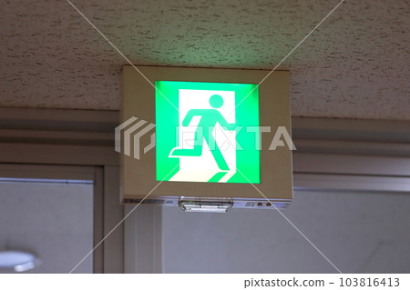 Evacuation guide light 103816413