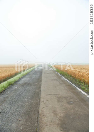 May Road Winds Leading to Different Worlds 103816526