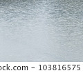 rain on water 103816575