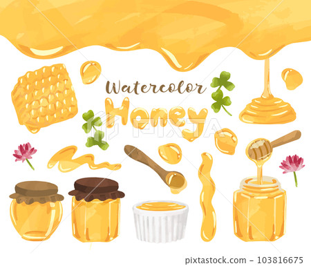 水彩風格蜂蜜插畫總結 水彩風格蜂蜜插畫總結 103816675