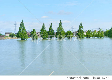 2023 年 6 月 2 日暴雨過後埼玉縣吉川市的蓄水池 2023 年 6 月 2 日暴雨過後埼玉縣吉川市的蓄水池 103816732