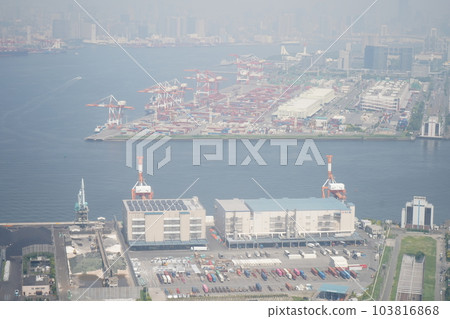 從飛機內部拍攝 | 一個朦朧的大城市的城市景觀 | 空氣污染圖像 | 污染圖像 | 東京 103816868