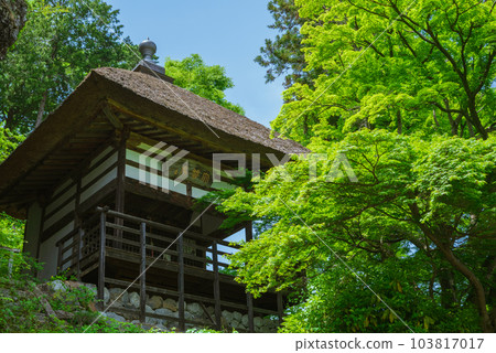 觀音堂和鮮綠【Obasute Chorakuji Temple】 103817017