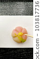 A sweet toothpick is put in a flower-shaped Japanese confectionery on a kaiko 103817736