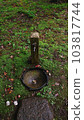 Old water 103817744