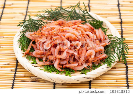 原始的Sakebea 103818813