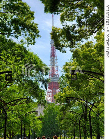 東京鐵塔 東京鐵塔 103819116