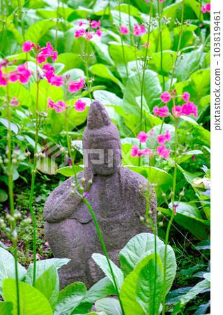 日本報春花和石佛（垂直） 103819461