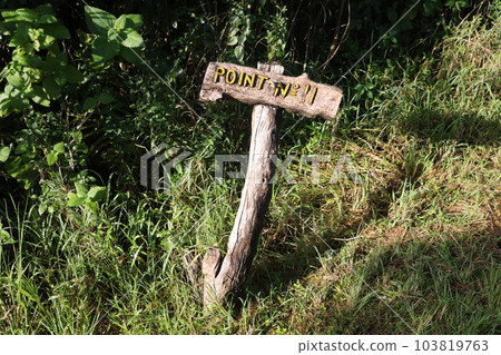 [津巴布韋] 維多利亞瀑布標誌 103819763