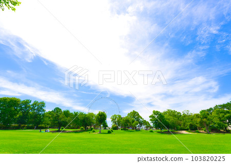 [Osaka Prefecture] Expo'70 Commemorative Park with blue skies and greenery in July 103820225