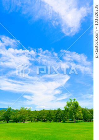 [Osaka Prefecture] Expo'70 Commemorative Park with blue skies and greenery in July 103820238